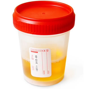 drug test cup
